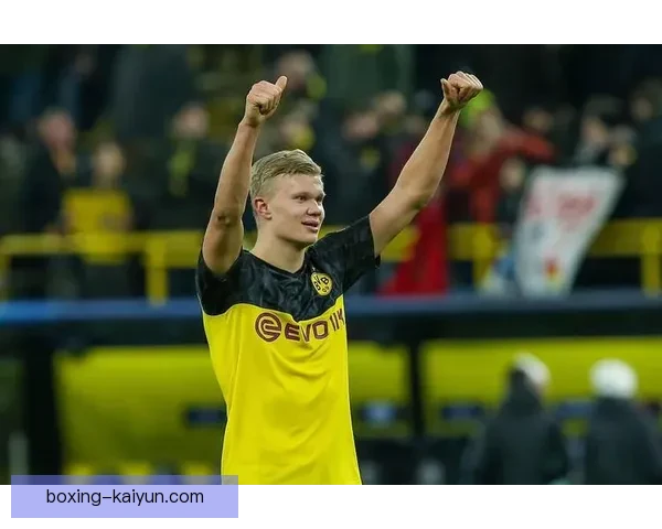 哈兰德单赛季进球纪录再创新高，状态持续回暖引发关注